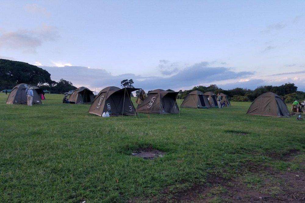 What Is a Joining Group Safari in Tanzania