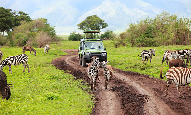 Cheapest Joining Group Safari Packages in Tanzania 