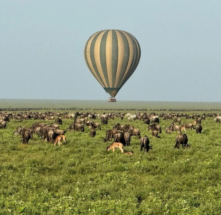 3-Day Serengeti Fly-in Safari