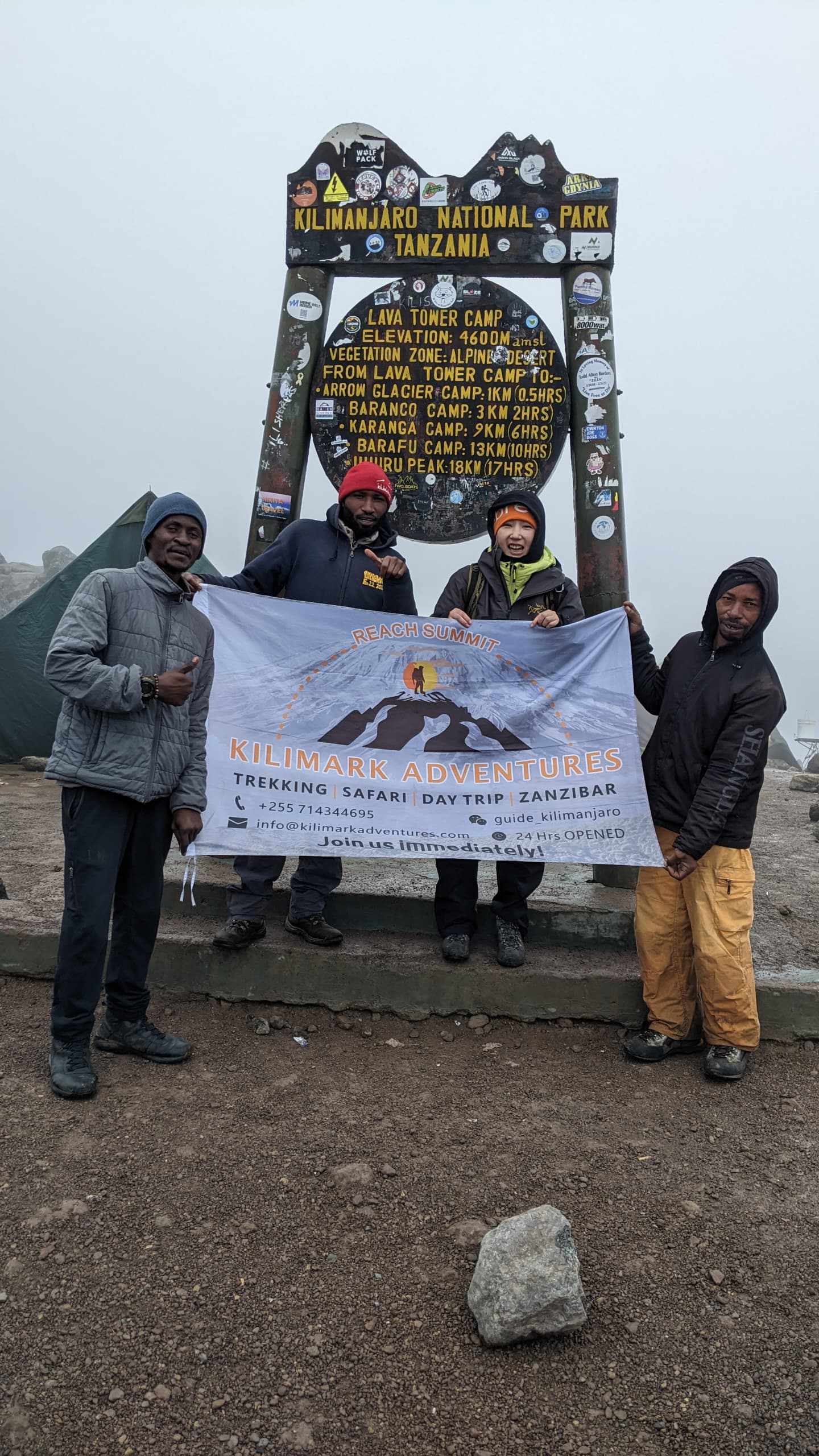 Lemosho Route 8 Days Open Joining Group | Mount Kilimanjaro from $1,750